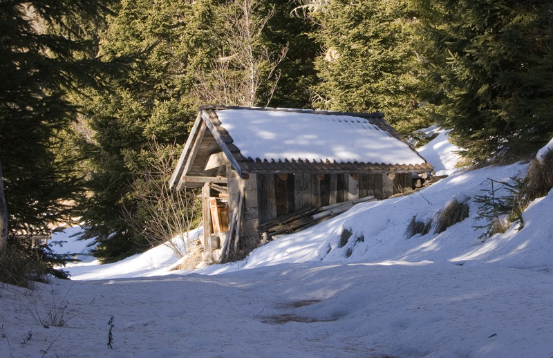 Cercando la neve.